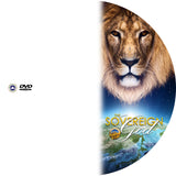 Sovereign God (DVD)